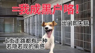 【猫meme】关于从澳洲回国被妈妈灭门变成黑户这件事