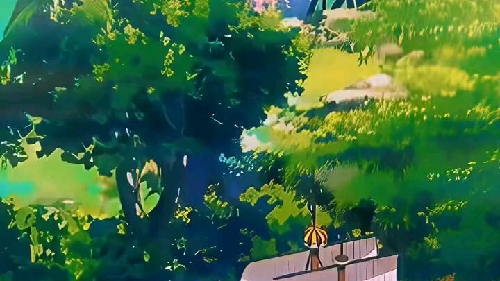 video onepiece