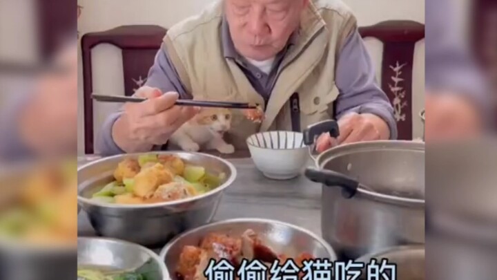 老人和猫猫的暖心瞬间