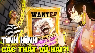 BOA ĐANG BỊ BẮT GIỮ?! | TÌNH HÌNH CÁC THẤT VŨ HẢI HIỆN TẠI KHI LUFFY THÀNH TỨ HOÀNG?!