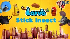 Lavar - SỨC MẠNH CỦA BỌ QUE | Những Tập Larva Hay Nhất Cười Vỡ Bụng