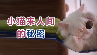 ภาษาบนโลกนี้มีมากกว่า 7,000 ภาษา ทำไมคำหนึ่งกลับมีการออกเสียงที่เหมือนกันอย่างน่าประหลาดใจ