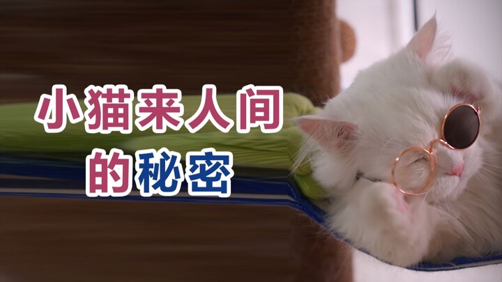 ภาษาบนโลกนี้มีมากกว่า 7,000 ภาษา ทำไมคำหนึ่งกลับมีการออกเสียงที่เหมือนกันอย่างน่าประหลาดใจ