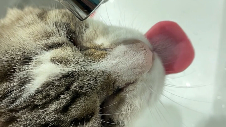 هاكيمي الفكاهي بنسبة تصويب 10%