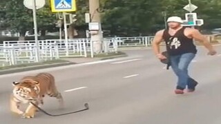 Try Not To Laugh Funny Videos - Funny Moments Of The Year Compilation  😆 PART 202