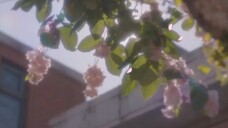 🇰🇷Ep.04 - Peach Trap (2025) EngSub