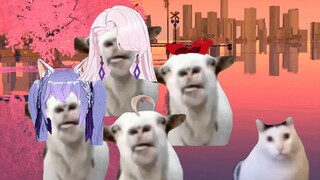 当你看夜谈走神1分钟后