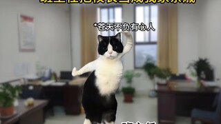 当我被当成校长亲戚