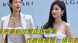 原来椰树才是正统审美，当白幼瘦和珠圆玉润同框高下立见