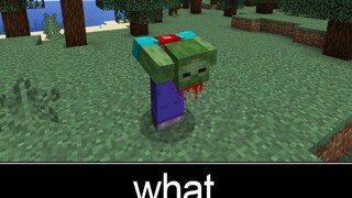 Minecraft wait what meme