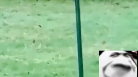 Sambil itu juga jadi bisa belajar akrobat.