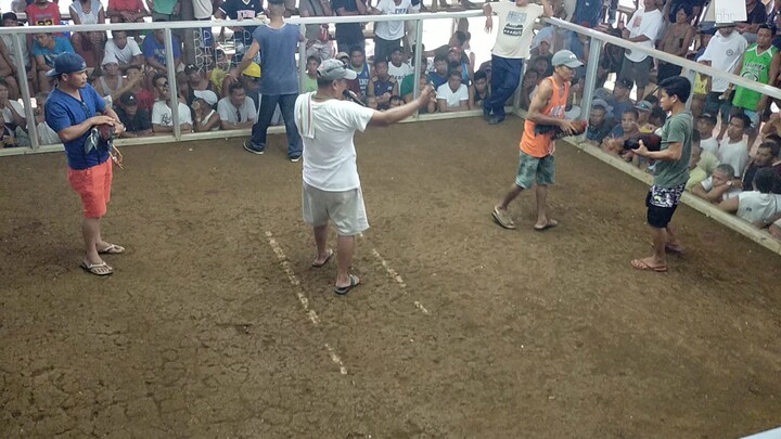 sabongSamar rightside 2nd fyt win