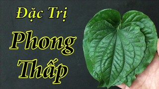 Chỉ cần áp dụng theo cách này, đau xương khớp hay viêm khớp nặng đến mấy cũng phải khỏi ngay lập tức