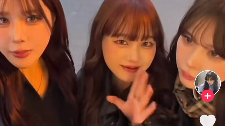 After visa-free entry was introduced, so many "sakura girls" came to Shanghai!