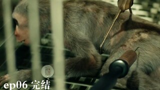 【血疫】探寻病毒之王“埃博拉”的源头，猪、猴子、还是蝙蝠？《血疫06》