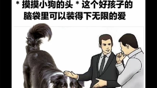 [狗狗meme]毛绒绒的大可爱