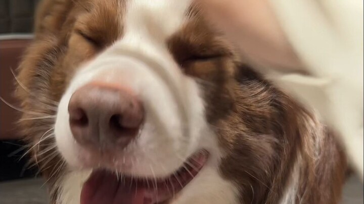 This one is seriously mind-bending.