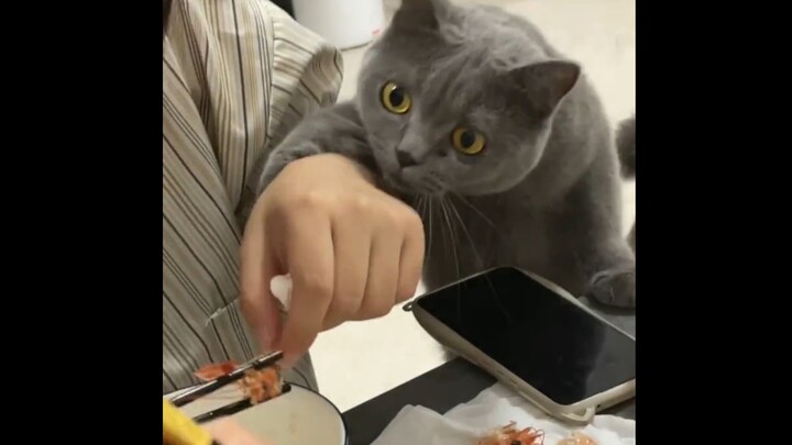 “Look how much this kid is craving it…”