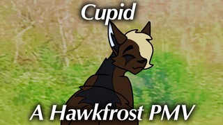 Hawkfrost PMV: Cupid