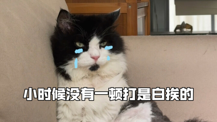 When I was a kid, no beating was in vain.