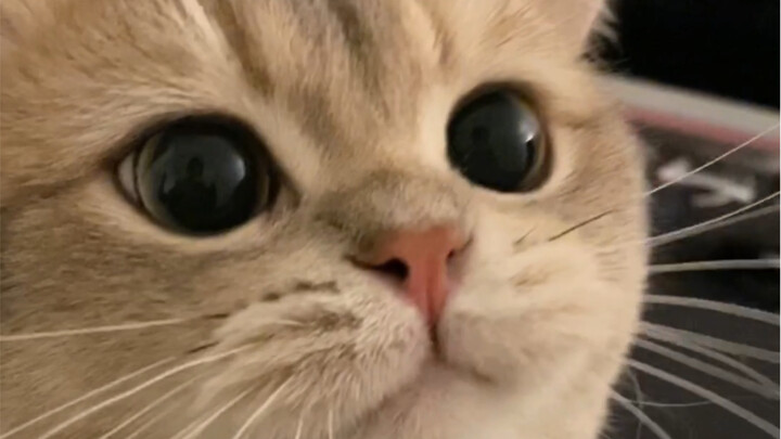 Kartu selalu punya banyak rahasia yang ingin diceritakan padamu 😄