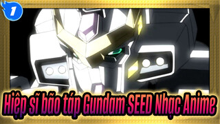 [Hiệp sĩ bão táp Gundam SEED Nhạc Anime]_1