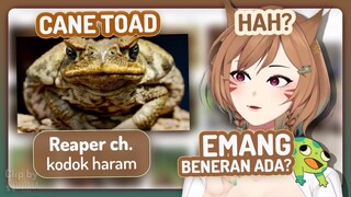 Aku Suka Belajar Tentang Kodok [Lala Alberich/AKA Virtual]