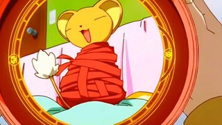 Cardcaptor Sakura, Xiaoke dimanjakan oleh Elio, sangat manis