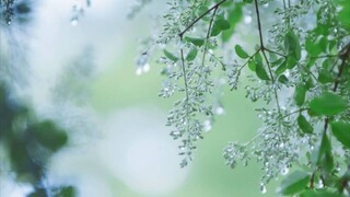 oniichan wa oshimai part 1