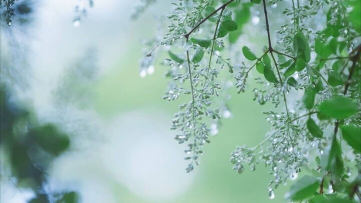 oniichan wa oshimai part 12 end