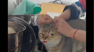 猫咪：有被冒犯到