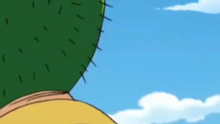 kaktus