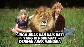 Kisah Singa Baik Hati Yang Bersahabat Dengan Anak Manusia | Alur Cerita Film NAPOLEON AND SAMANTHA