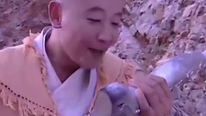 Bajie's head is harder than the Buddha's seal