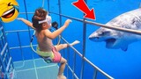 วิดีโอสัตว์หัวเราะ 😂 วิดีโอตลก - Baby Shark เบบี้ชาร์ค ดูดู