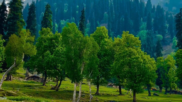 #kashmir