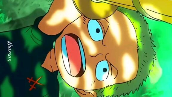 Zoro Wake Up!!