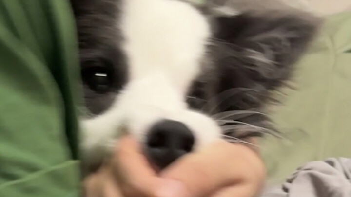 بعض الحب القسري المتبادل بين الطرفين