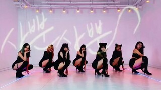 7只猫猫都想要？1只都带不走喔~喵~ AOA-猫步轻俏7人版翻跳