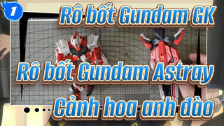 Rô bốt Gundam GK
Rô bốt Gundam Astray 
Cảnh hoa anh đào_1