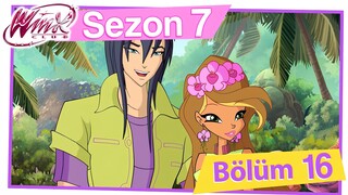 Winx Club - Sezon 7 Bölüm 16 - Cennet Koyu'na Geri Dönüş