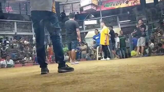 austin flower shop 1-26-24