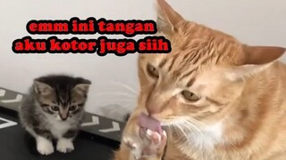 HARI ULANG TAHUN ADALAH HUKUMAN