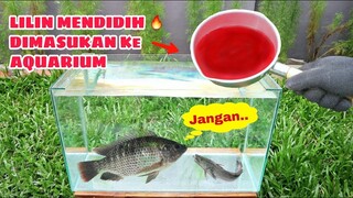 AQUARIUM vs Lilin Panas 🔥 Lihat apa yang terjadi..! #experiment