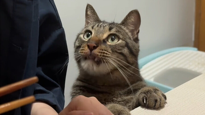 Aku nggak mau makan sendiri, aku mau Mama yang suapin!