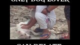 Only Dog Lover Can Relate