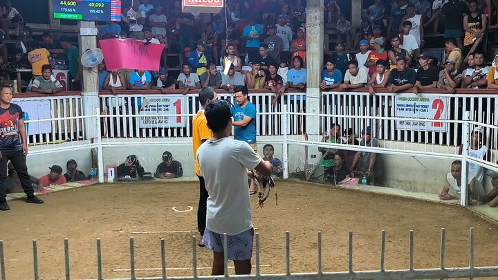 Champion 💪🏆