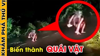 🔥 7 Sinh Vật Đột Biến Được Con Người Tìm Thấy Khiến Cả Thế Giới Bàng Hoàng | Khám Phá Thú Vị