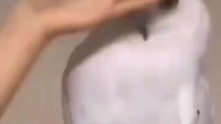 【xXxllllo】The latest video is online, come and watch!