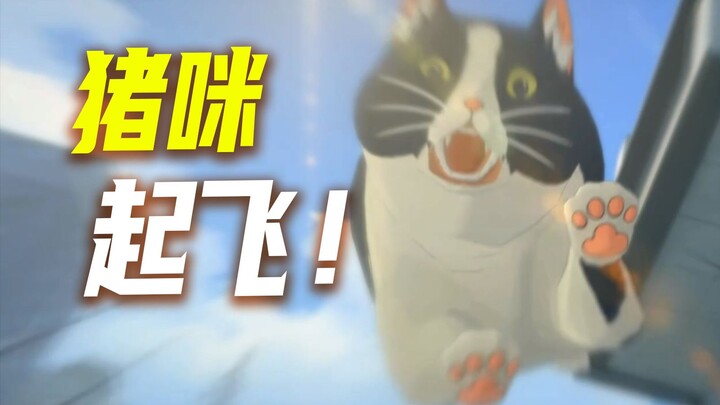 Is “Zero: Field” a cinematic-level waste?! The episode Zhu Mi wants to delete the most!